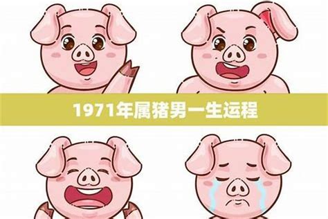 1971年属猪人的命运|1971年属猪的命运如何